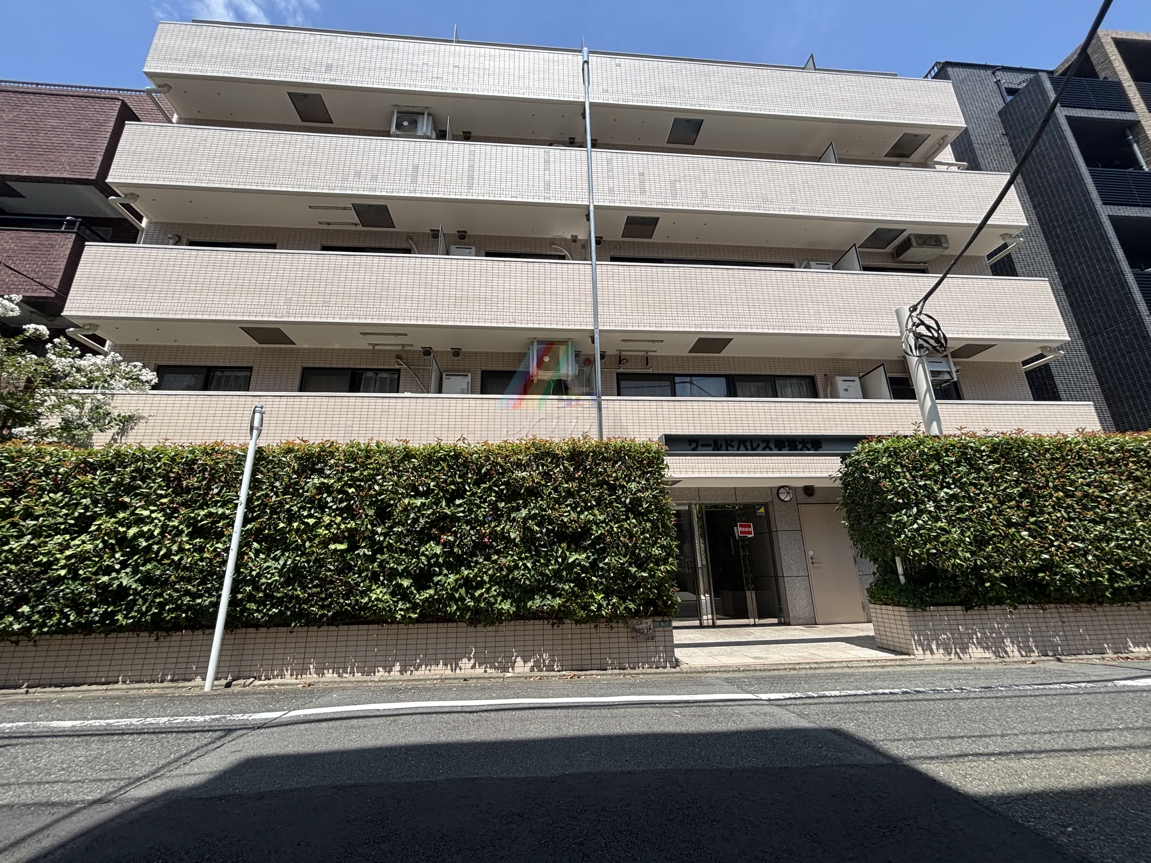 ワールドパレス学芸大学